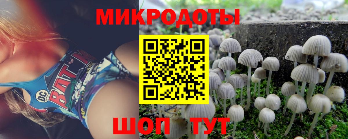 Псилоцибиновые грибы Psilocybine cubensis Мурино