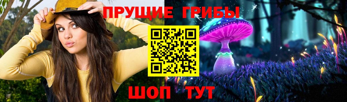 Мурино  как найти закладки  Вход с VPN  Псилоцибиновые грибы ЛСД 