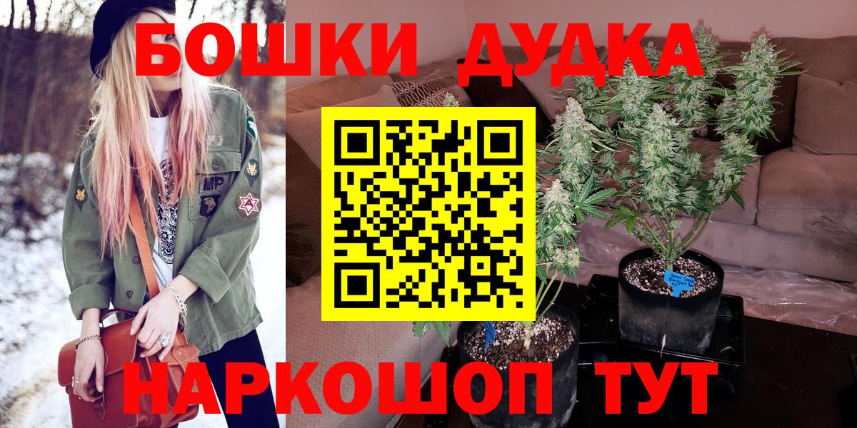 Конопля гибрид Мурино